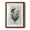 Barnwood Maple, variant on Sunday Best Rooster - Premium Framed Print - Distressed Barnwood Frame - Ready to Hang