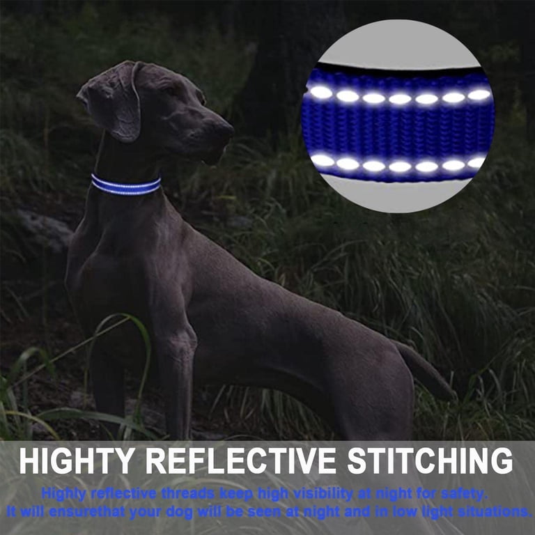 Camkey Reflective Nylon Dog Collar with Neoprene Padding photo 5