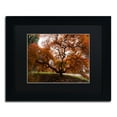 thumbnail image 2 of Trademark Fine Art "Autumn Japanese Maple Tree" Canvas Art by Kurt Shaffer, Black Matte, Black Frame, 2 of 4
