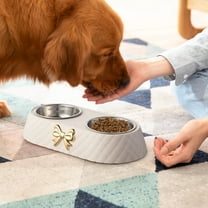 Small Food and Water Bowl Set Pet Feeding Bowl,Cat Bowls for Outdoor Cats,Cat Food Station Puppy Food Bowl,Stainless Steel Cat Food and Water Bowls