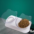 thumbnail image 1 of Cuenco para gatos, cuenco alto para perros y gatos, protección para el cuello, cuenco para mascotas, de plástico, antideslizante, con boca oblicua, cuenco doble para beber agua, 1 of 5