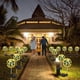 thumbnail image 4 of Bola De Flores De Crisantemo Solar, 2 Uds., Luz Led De Margarita Para Jardín, Lámpara Impermeable Para Exteriores, Lámpara De Paisaje, Jardín, Patio, Césped, Decoración De Patio Cateissary HA037263-00, 4 of 6
