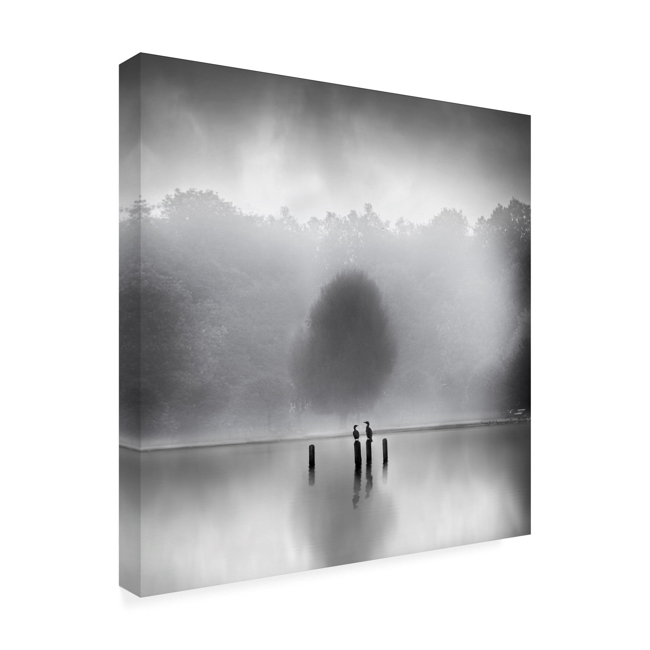 Canvas Wall Art - George Digalakis 'Cormorants In The Mist' Wall Art for Living Room, Bedroom, or Office Décor by Trademark Fine Art - 24 x 24 Inches