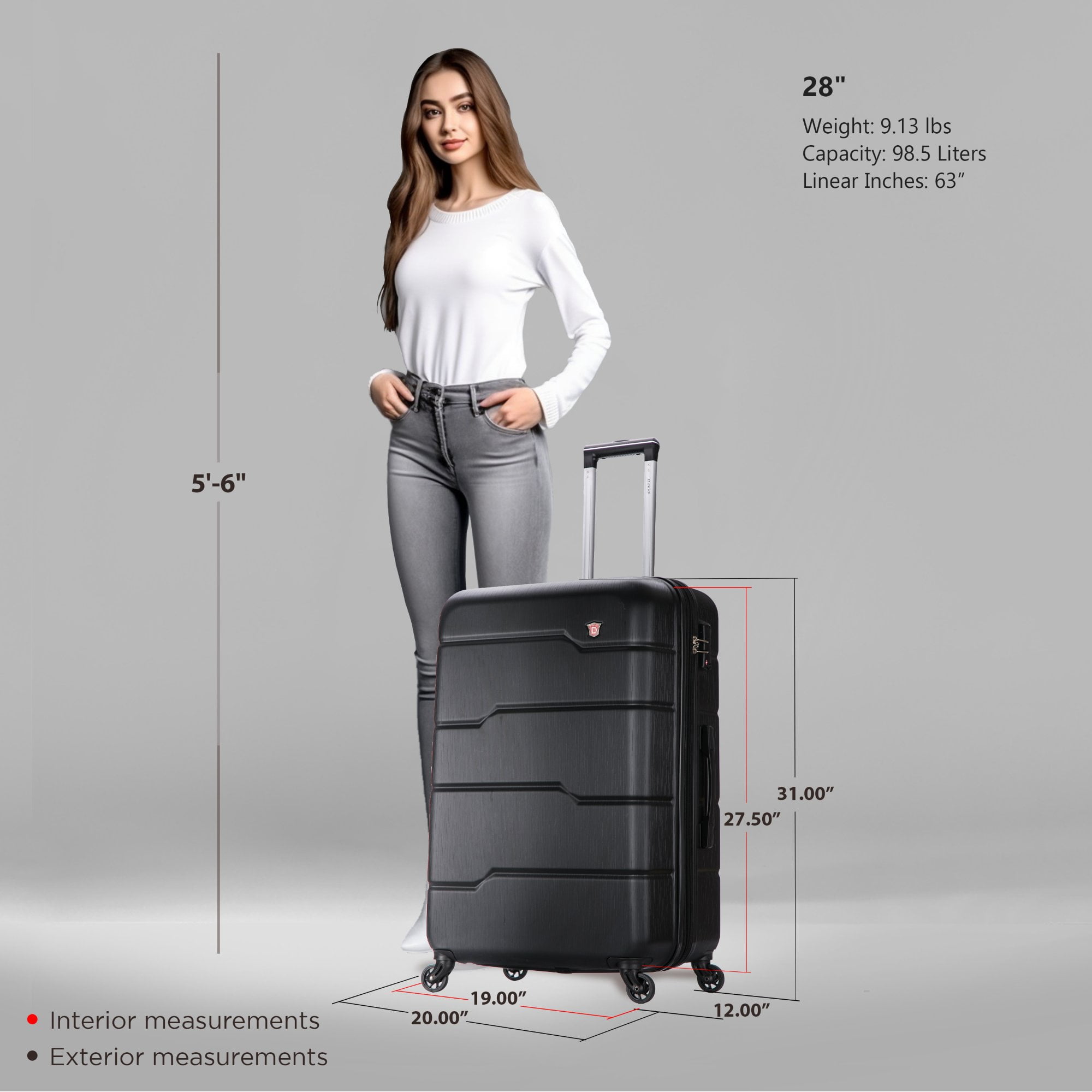 DUKAP Rodez 28" Lightweight Hardside Spinner Luggage