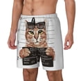thumbnail image 1 of Fotbe Cat Holding Mugshot Sign Traje de Baño para Hombre – Shorts de Natación de Secado Rápido con Forro y Bolsillos-Small, 1 of 6