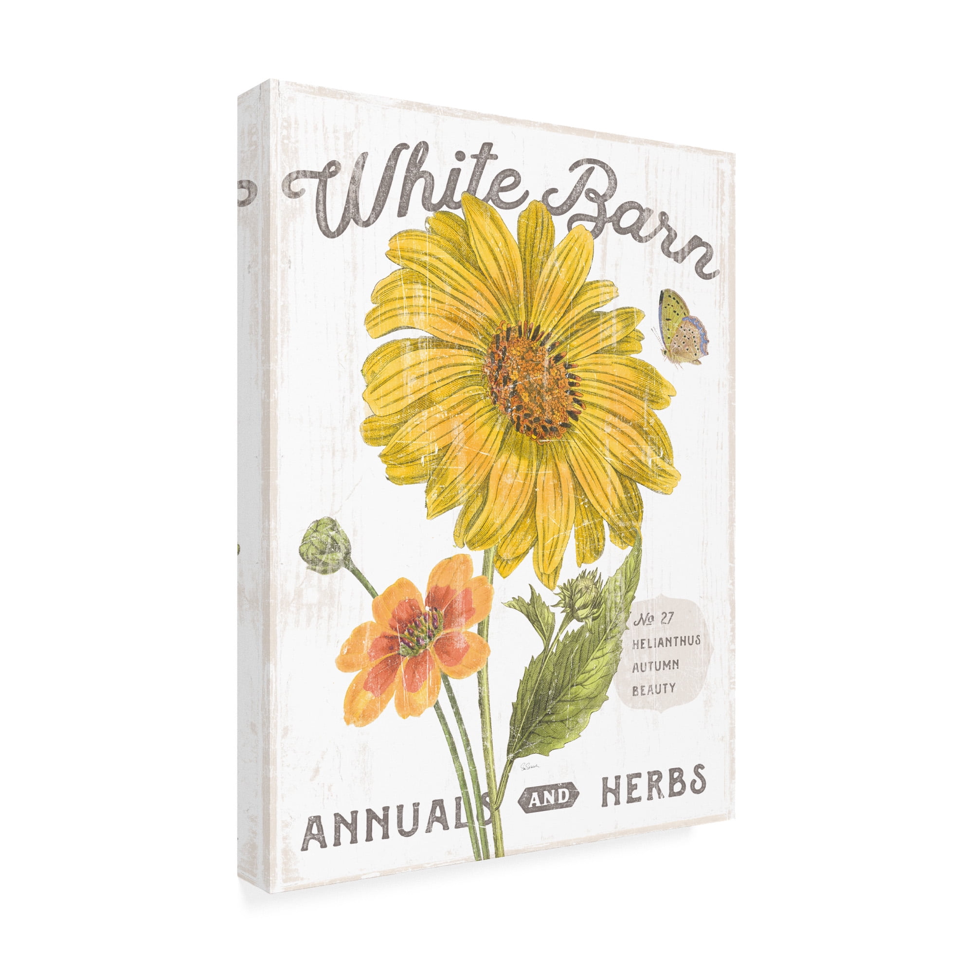 Trademark Fine Art 'White Barn Flowers I' Canvas Art by Sue Schlabach