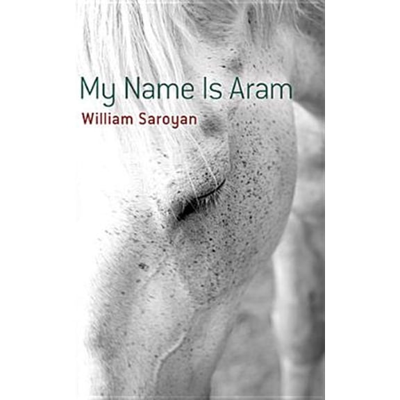 Pre-Owned My Name Is Aram (Paperback) 0486490904 9780486490908