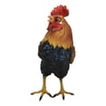 thumbnail image 2 of Rustic Western Proud Country Farm Colorful Chicken Rooster Figurine 5.25" Tall, 2 of 9