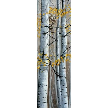 - Western Screech Owl Poster Print by Julie Peterson