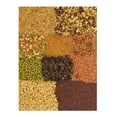 thumbnail image 2 of Sprouting Seed Super Sampler- Organic- 2.5 Lbs of 10 Different Delicious Sprout Seeds: Alfalfa, Mung Bean, Broccoli, Green Lentil, Clover, Buckwheat, Radish, Bean Salad & More, 2 of 2