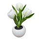 thumbnail image 1 of Luz de noche Flores artificiales Lámpara de flores Luz LED para adultos en el hogar al aire libre tulipanes blancos Zulema Luz de noche, 1 of 8