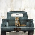 thumbnail image 2 of Sommers, Mindy 26x26 White Modern Wood Framed Museum Art Print Titled - Fox Vacation, 2 of 4
