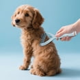 thumbnail image 3 of Cepillo suave y pequeño para el aseo, para eliminar el pelo muerto y el exceso de pelo; peine ligero para gatos y perros; cepillo alisador de fácil limpieza para uso doméstico, 3 of 7