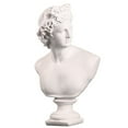 thumbnail image 1 of Shisuyan Sculptures Répliques Classiques Grecques Michelangelo David Statue Figurine Romaine, 1 of 8
