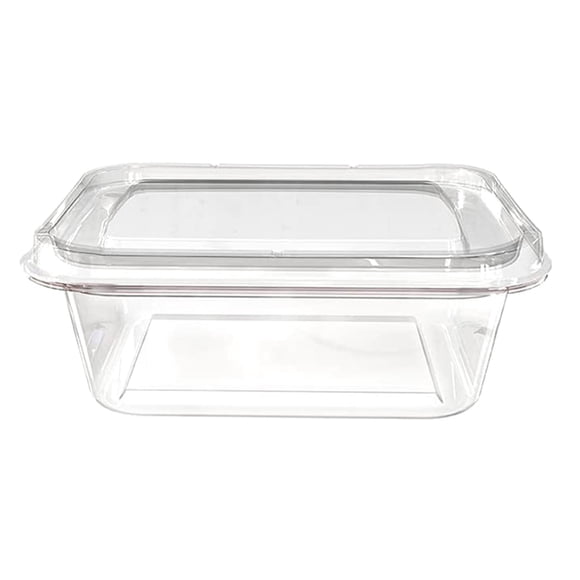 SIfdSeng Snack and Go Containers Mini Sealed Box Rectangular Food Supplement Small Fresh Keeping Box Canteen Food Kindergarten Box Meal Prep Containers for Office Leak Proof Snack Containers