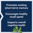 thumbnail image 5 of Life Extension Neuro-Mag® Magnesium L-Threonate (Tropical Punch), powder mix for memory, recall speed, cognitive health, gluten-free, non-GMO, vegetarian, 93.35 grams, 5 of 13