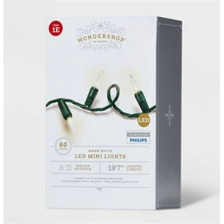 Wondershop 60ct LED Mini String Lights Warm White with Green Wire