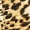 Caterina Cheeta, variant on INC International Concepts Womens Printed Ribbed Top Caterina Cheeta S
