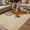 Brown Beige Yellow, variant on Vintage Bees Outdoor Rug for Patio/Deck/Porch, Non-Slip Large Area Rug 4 x 6 Ft, Daisy Floral Pastoral Retro Art Indoor Outdoor Rugs Washable Area Rugs, Reversible Camping Rug Carpet Runner