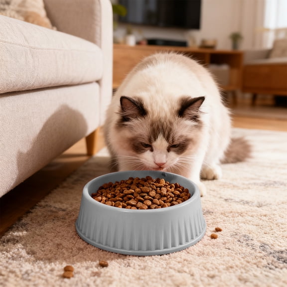 Large Capacity Plastic Dog Bowls Non-slide and Liable-to-clean Pet Bowls, Indoor Outdoor Insulated Ice Cold Pet Dish, Plastic Dog Bowls, Food Dishes and Water Bowl for Dogs, Cats or Other Animals