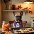 thumbnail image 5 of Roiihwy Halloween Dog Bandanas Costumes, Halloween Dog Bandanas for Fall Thanksgiving Decor, Orange Pumpkin, Ghost Design for Dog and Cat, 5 of 8