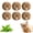 Brown 6pcs, variant on Cat Toy Faux Rabbit Fur Ball, 2026 New Rabbit Fur Ball Cat Toy Soft Fluffy Cat Toy Ball,Fluffy Faux Fur Cat Toys for Indoor Play, Washable Fun to Chase for Exercise and Bonding