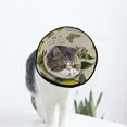 thumbnail image 1 of Lemon Soft Cat Dog Recovery Collar Adjustable Cat Cone Wound Healing Protective After Surgery for Puppy, 1 of 7