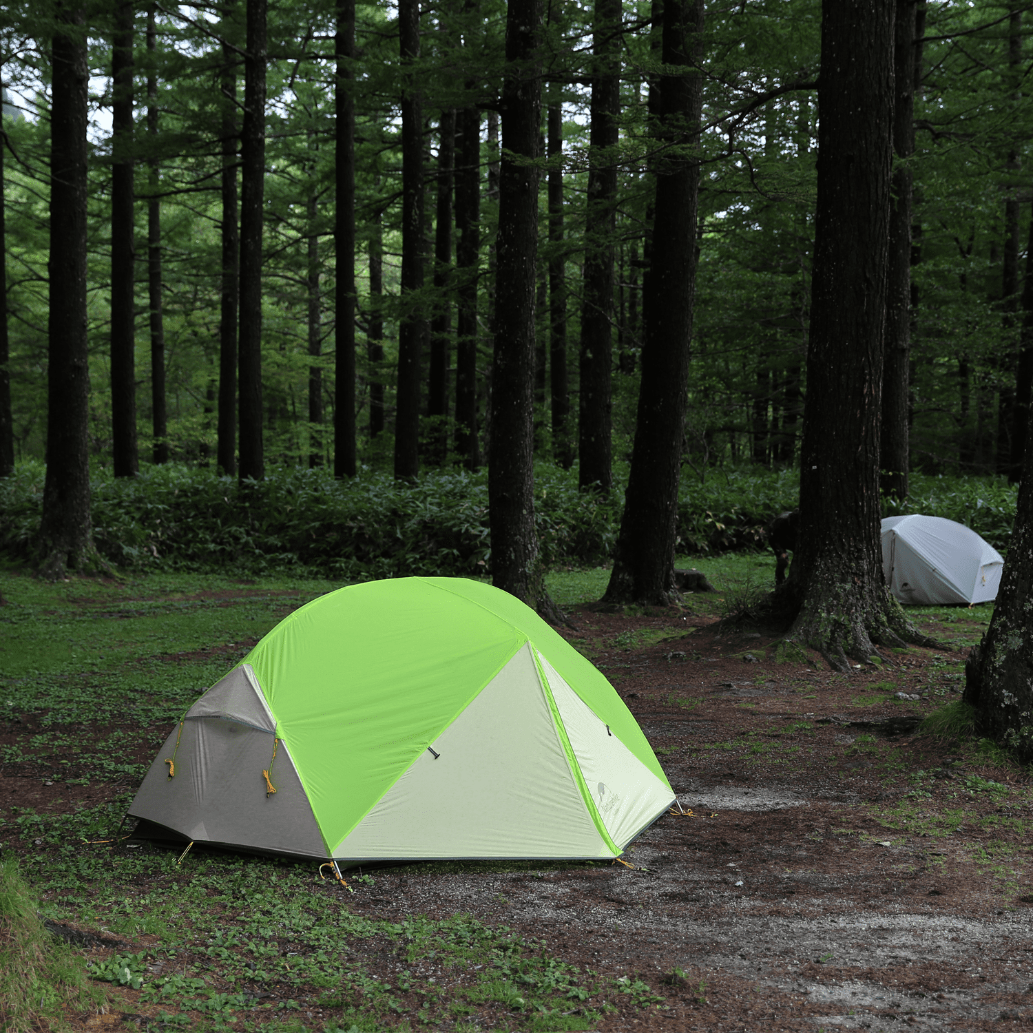 Naturehike　Mongar 2 Mongar 2-Person Lightweight Backpacking Tent | Naturehike