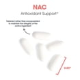 thumbnail image 5 of Allergy Research Group NAC Supplement - N-Acetyl-L-Cysteine, Glutathione Precursor, Supports Immune Function, Healthy Mucus Clearance, Free Form Amino Acid, Hypoallergenic - 120 Count, 5 of 7