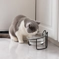 thumbnail image 2 of Qholemyo Slanted Glass Pet Bowl Pet Food Bowl Non Knock Feeding Bowl Neck Protection For Cats And Teddy Dogs, 2 of 6