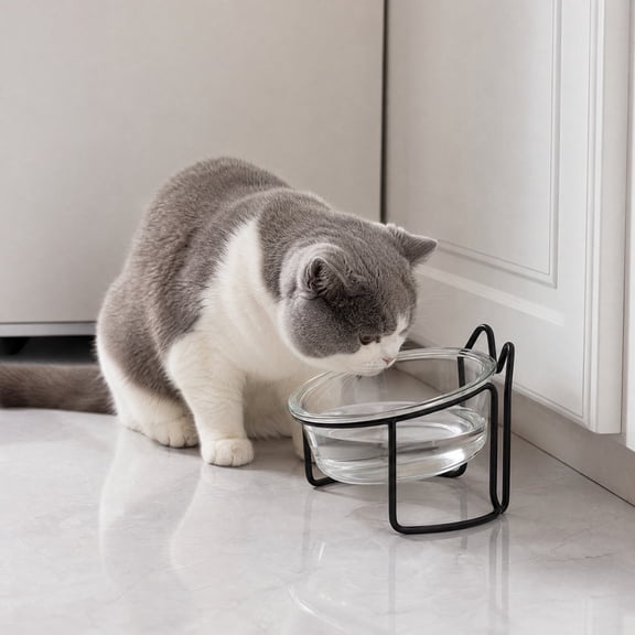 Slanted Glass Cat Bowl Elevated Raised Pet Food Dish with Neck Protection Spill Proof Microwave Safe Feeding Bowl for Cats and Small Dogs Black