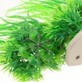 thumbnail image 6 of HAKIDZEL 1Set Fish Tank Accessory Reptile Terrarium Decor in Green and 20x18cm, 6 of 8