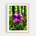 thumbnail image 2 of pinwheel - Garanhuns Pernambuco Brazil Photography Floral Nature Flowers Botanical Summer Scenic Garden Unframed Wall Art Print 32 x 48 inches, 2 of 16