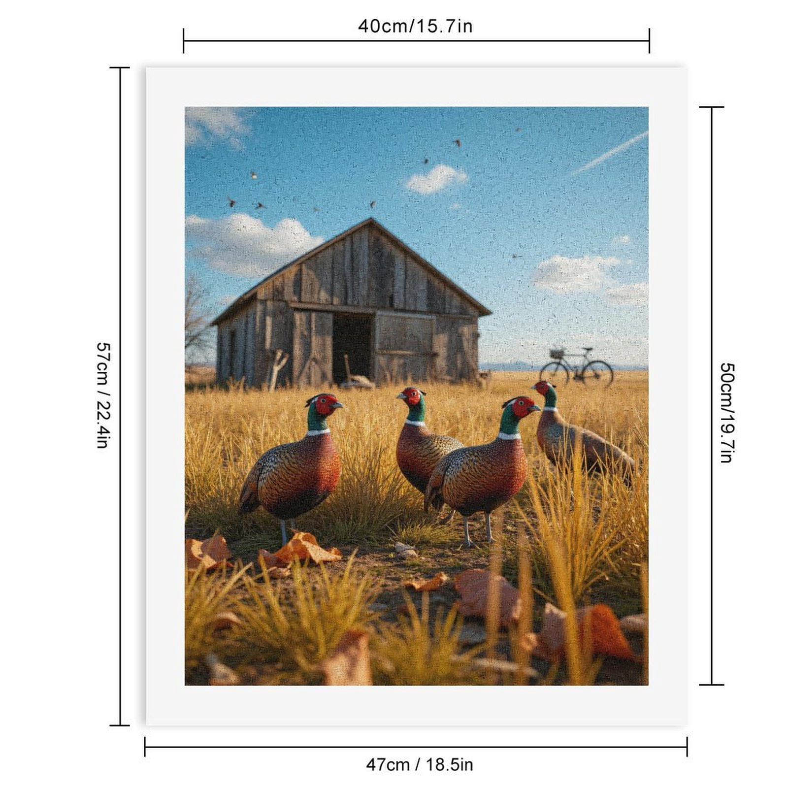 Paint By Numbers Kit for Adults Beginner - DIY Pheasants Autumn Barn Bicycle Scene Canvas Painting Kits for Adults, Frameless Paint By Number for Adults for Home Wall Decor 16x20 Inch