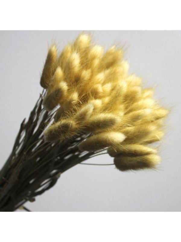 20Pcs Colorful Fake Rabbit Tail Grass Artificial Natural Dried Flowers Plants 
