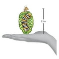 thumbnail image 5 of Old World Christmas Ornaments Fuzzy Caterpillar Glass Blown Ornaments for Christmas Tree, 5 of 5