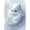 Cat, variant on FLOPESN Gemstone Pearl Diamond Art Painting Kits Frameless, Creative Design Handmade Home Wall Decoration with Tools, Pattern Size 9.84x13.78in -Cat