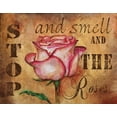 thumbnail image 2 of Knold, Donna 24x20 White Modern Wood Framed Museum Art Print Titled - Plant a Garden IV, 2 of 4