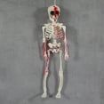 thumbnail image 2 of Desktop Ornament 40cm Poseable Halloween Skeleton Movable Bones for Festive Celebrations for Parties and Home, 2 of 6
