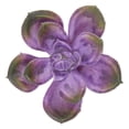 thumbnail image 4 of Mainstays 4" Artificial Purple Round Succulent Pick, 4 of 5