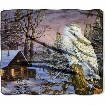 Northwest Royal Plush Rachel Owl & Cabin Throw Blanket So ...