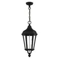 thumbnail image 3 of Livex Lighting Morgan 2 Light Outdoor Pendant Lantern, 3 of 9