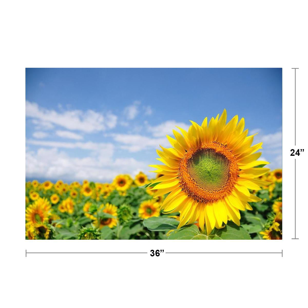 Sunflower Field Blue Sky Provence France Photo Art Print Poster 24x36 inch 