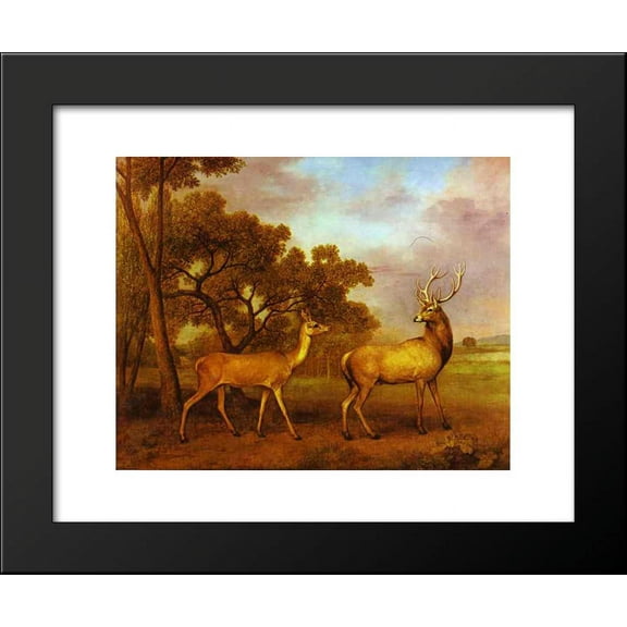 Red Deer Stag and Hind 20x24 Framed Art Print by George Stubbs
