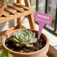 thumbnail image 5 of Horivan 100PCS Waterproof Herb Garden Labels Tags, T-Type Plant Markers for Outdoor Gardening, Reusable Plant Identification Stakes with Writing Surface, 5 of 7