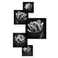 thumbnail image 3 of Designart "Close-up Of Black And White Tulip I" Floral Tulip Metal Art Living Room Set, 3 of 5