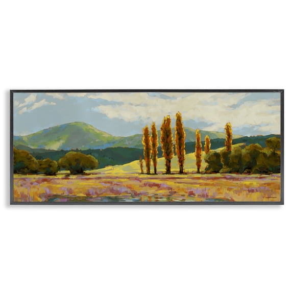 Stupell Industries Contemporary Vast Subdued Countryside Black Framed Giclee Art, 24 x 10, by Trevor Copenhaver