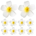 thumbnail image 4 of 24 Uds. Pinzas para el cabello hawaianas, pinzas para el cabello estilo playa, pinzas para el cabello con flores de Plumeria, accesorios para el cabello hawaianos, 4 of 4