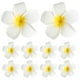 thumbnail image 4 of 24 Uds. Pinzas para el cabello hawaianas, pinzas para el cabello estilo playa, pinzas para el cabello con flores de Plumeria, accesorios para el cabello hawaianos, 4 of 4