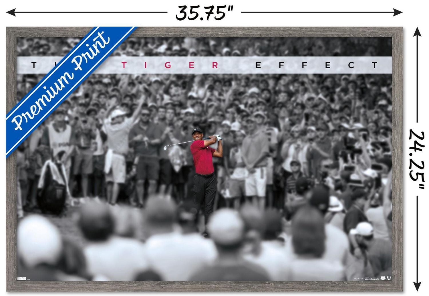 Tiger Woods - The Tiger Effect Wall Poster